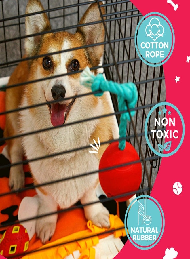 Fossa Interactive Dog Toys, Crate Training Aids for Puppies, Puzzle Treat Dispenser with Rope, Multifunctional Dog Toys - for Reduce Dog Boredom and Anxiety, Dog Teeth Cleaning and Chew Toy - Image 5